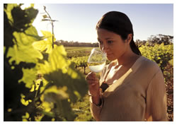 Wine_tasting