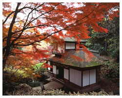 Sankeien Garden